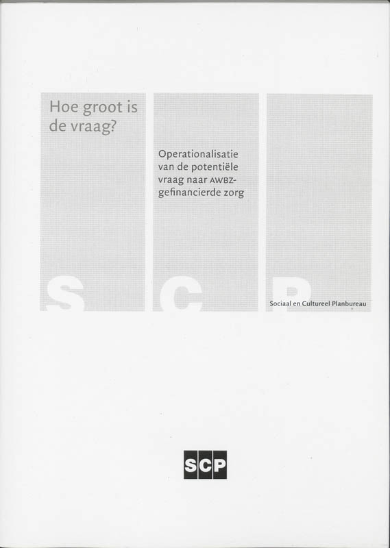 Omslag van Hoe groot is de vraag?