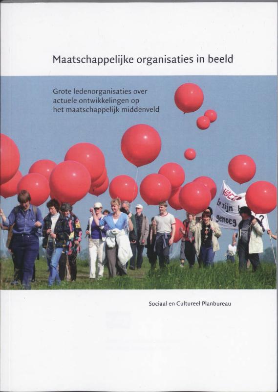 Omslag van Maatschappelijke organisaties in beeld