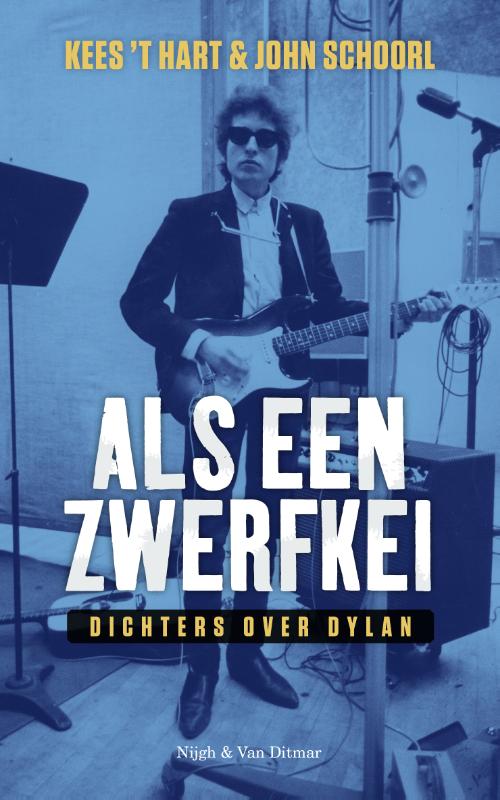 Omslag van Als een zwerfkei