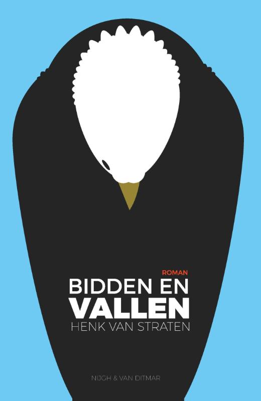 Omslag van Bidden en vallen