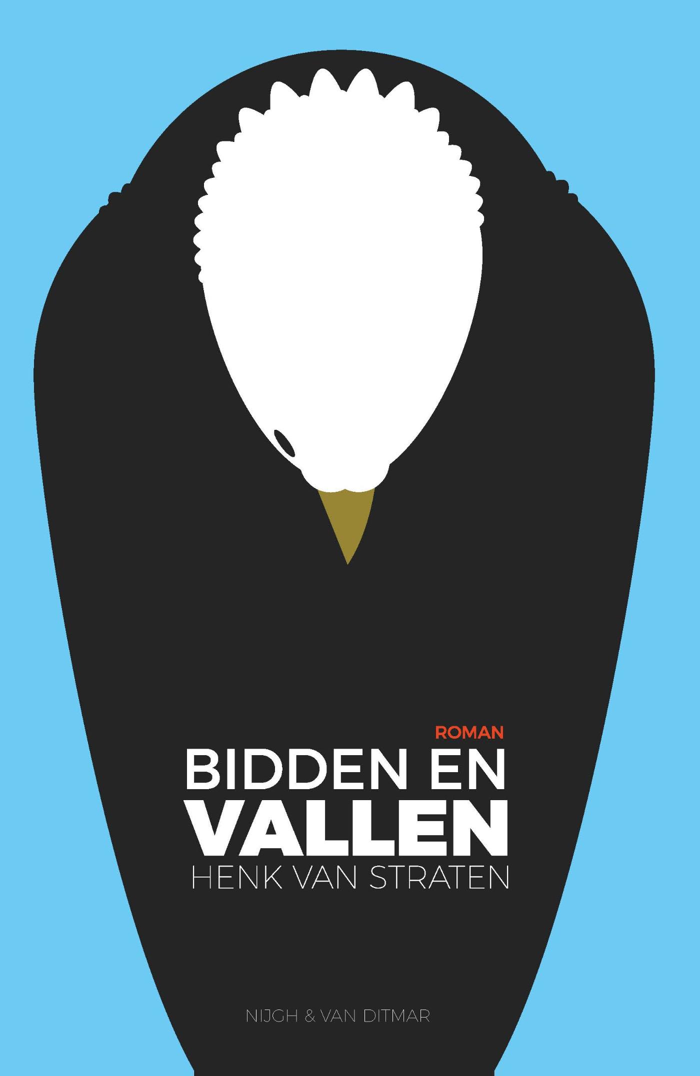 Omslag van Bidden en vallen