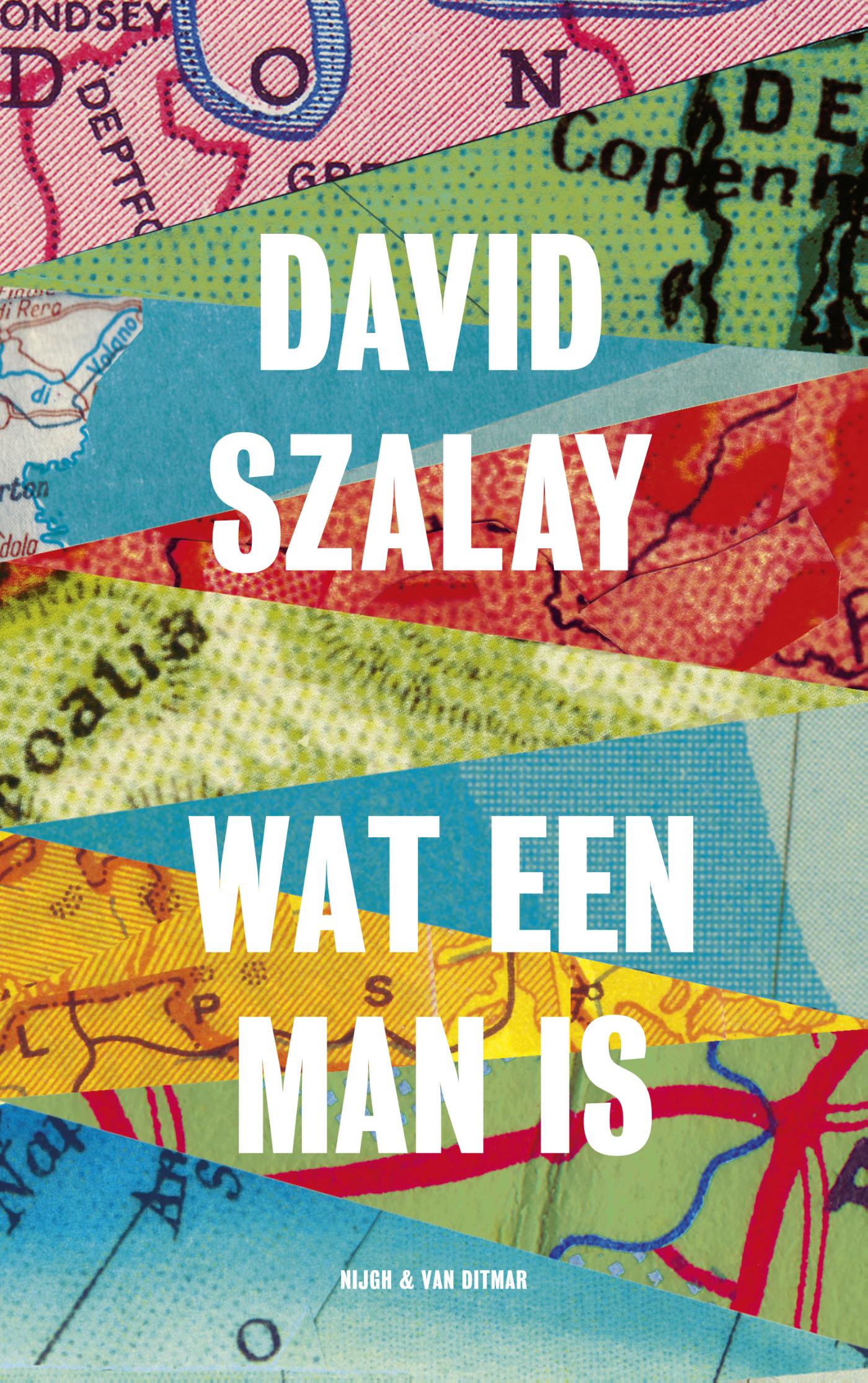 Omslag van Wat een man is