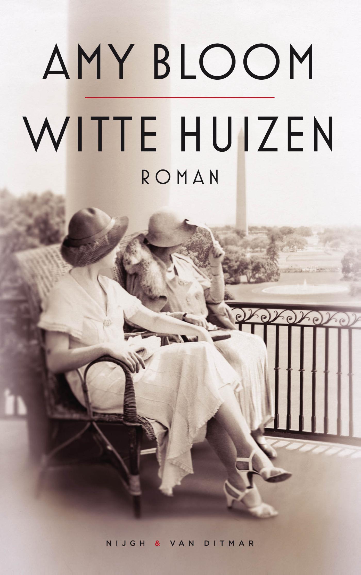 Omslag van Witte huizen