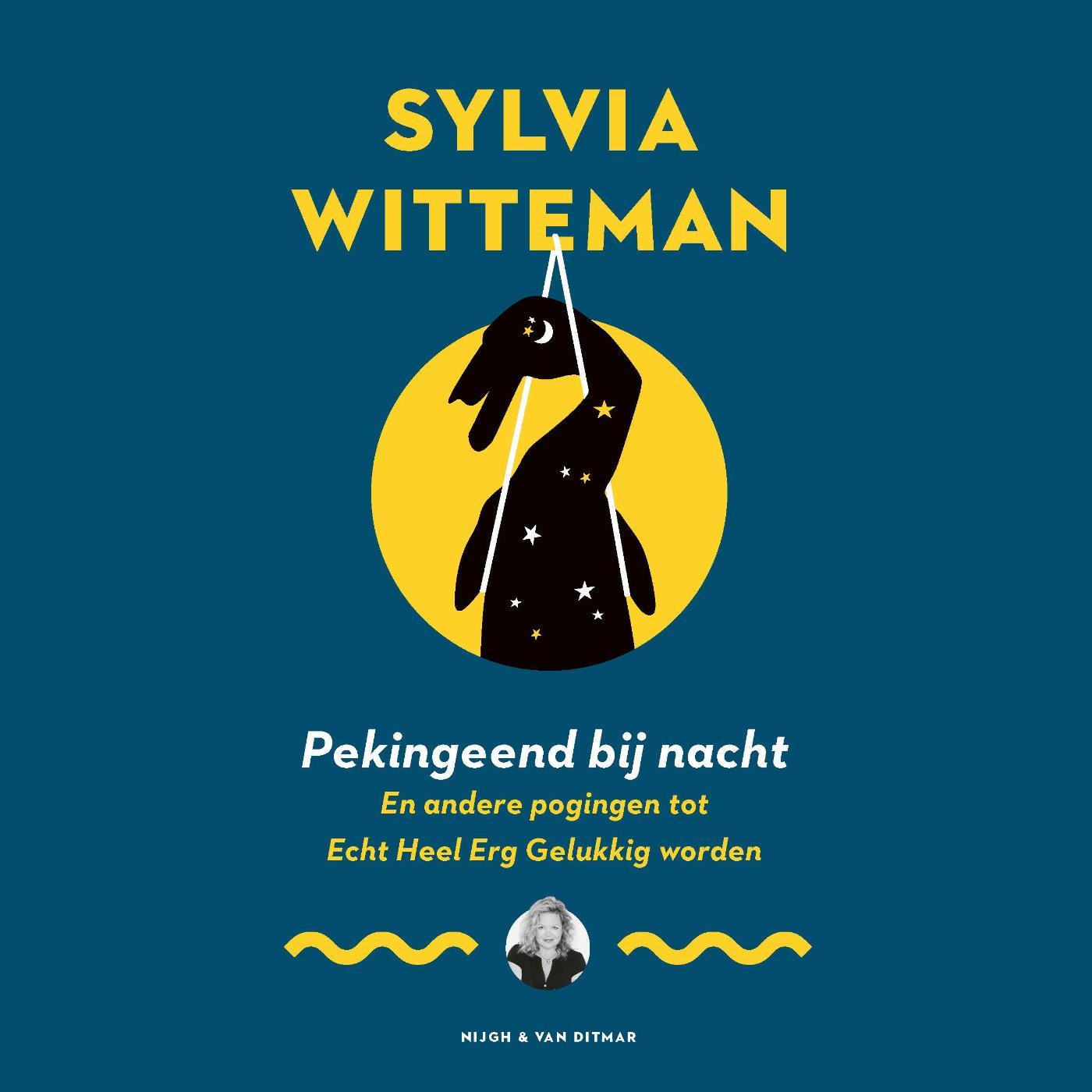 Omslag van Pekingeend bij nacht