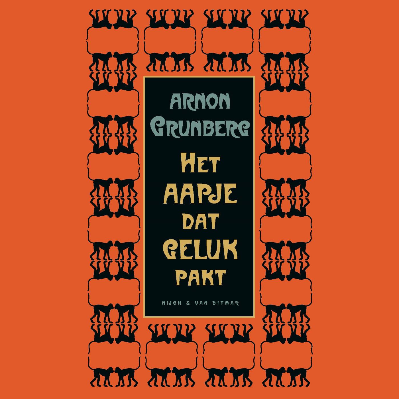 Omslag van Het aapje dat geluk pakt