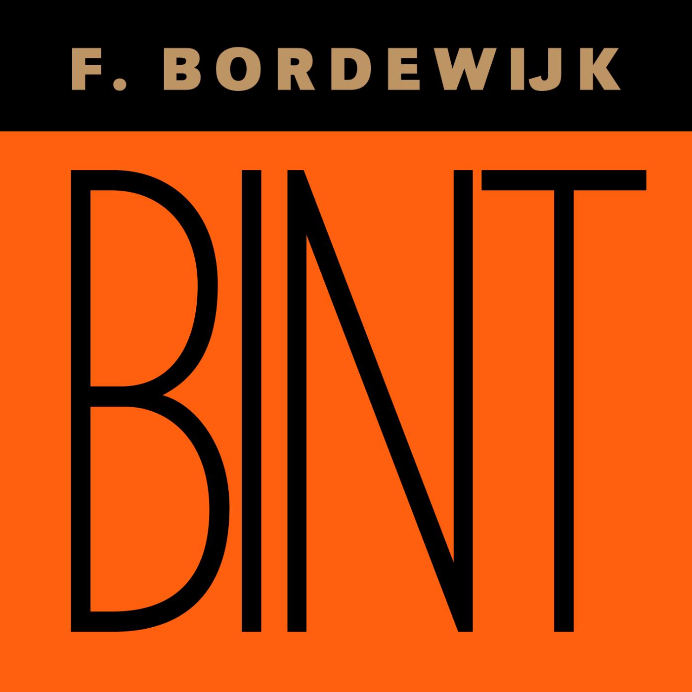 Omslag van Bint