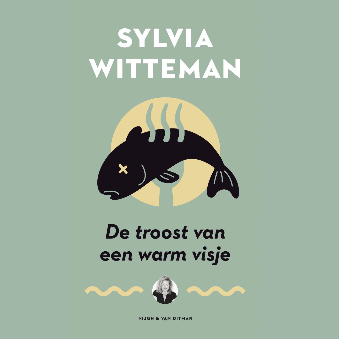 Omslag van De troost van een warm visje