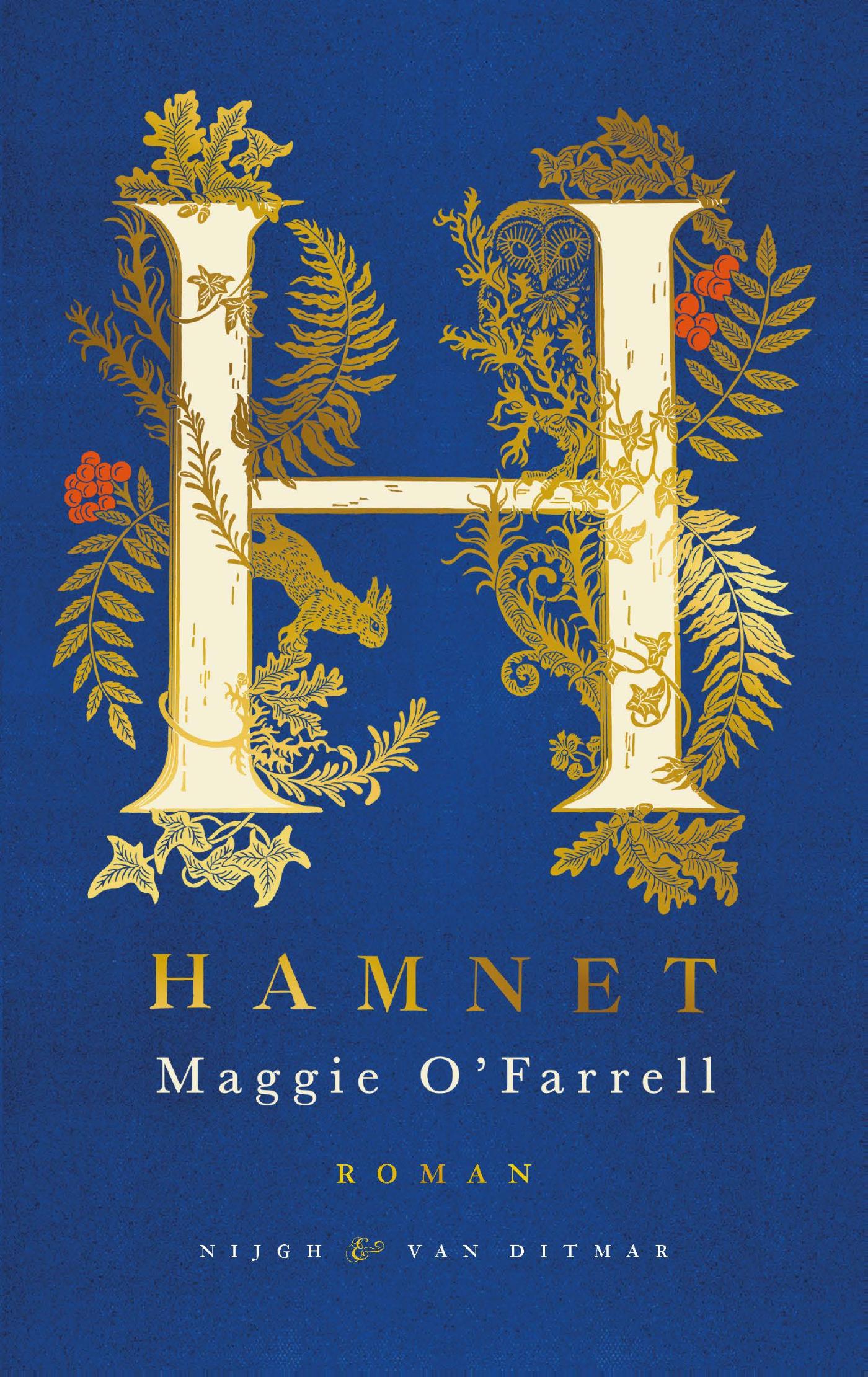 Omslag van Hamnet