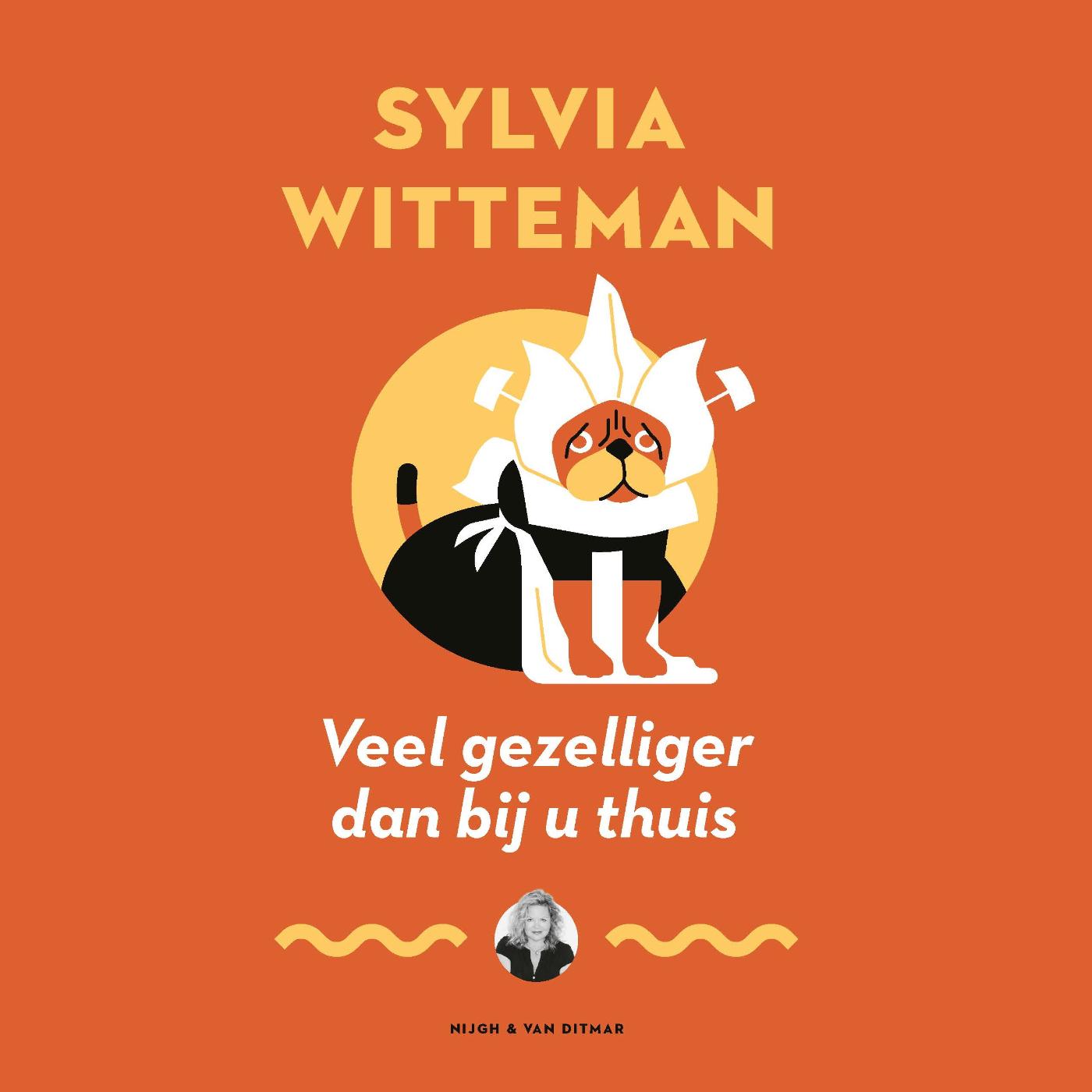 Omslag van Veel gezelliger dan bij u thuis