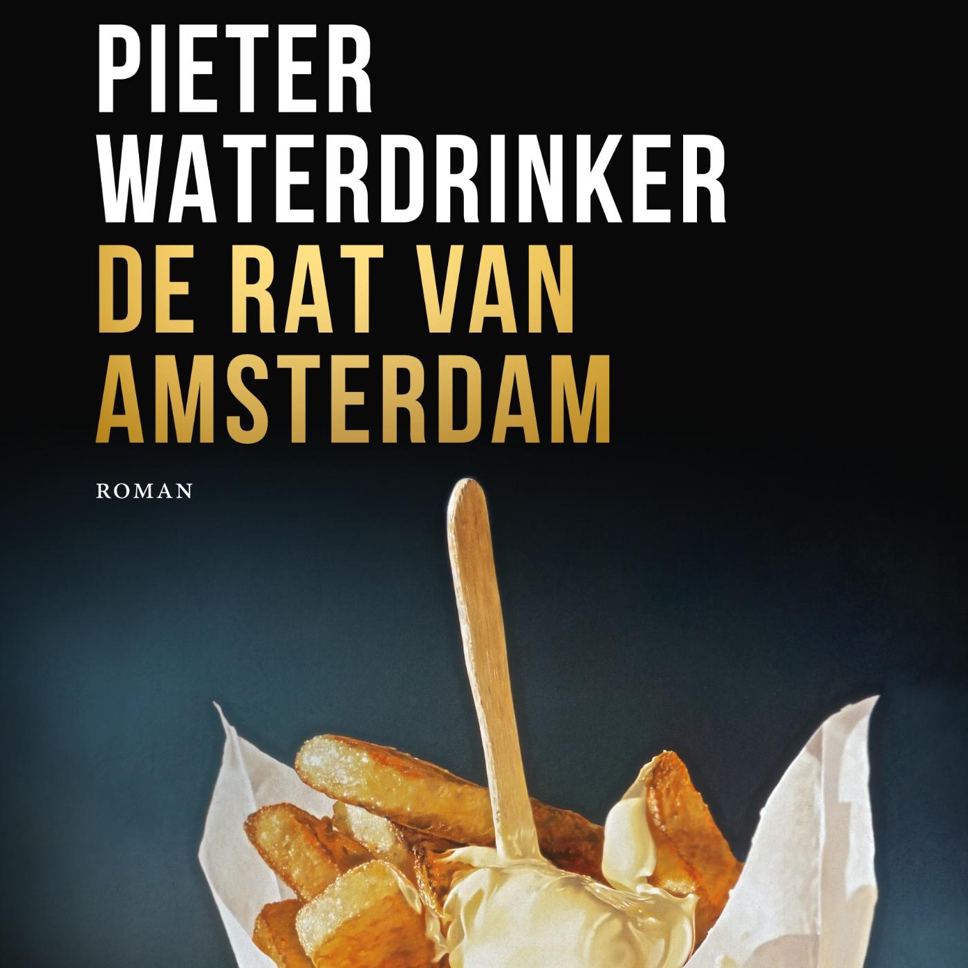 Omslag van De rat van Amsterdam