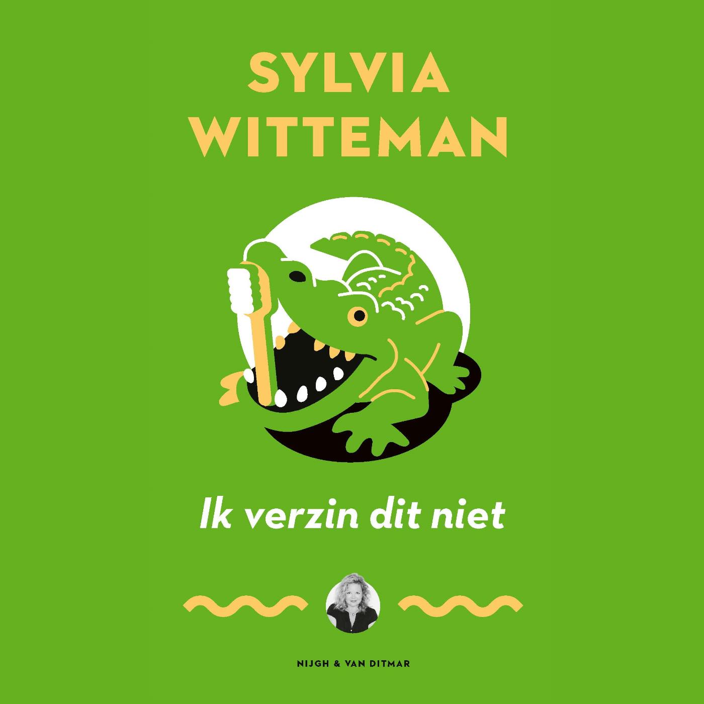Omslag van Ik verzin dit niet
