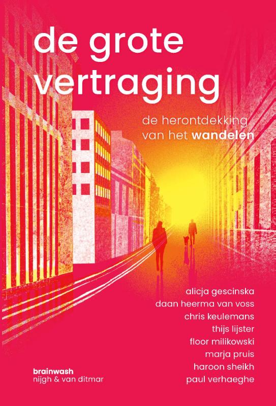 Omslag van De grote vertraging