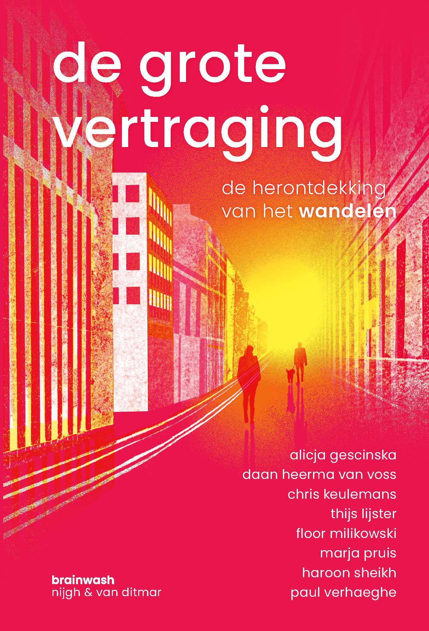 Omslag van De grote vertraging