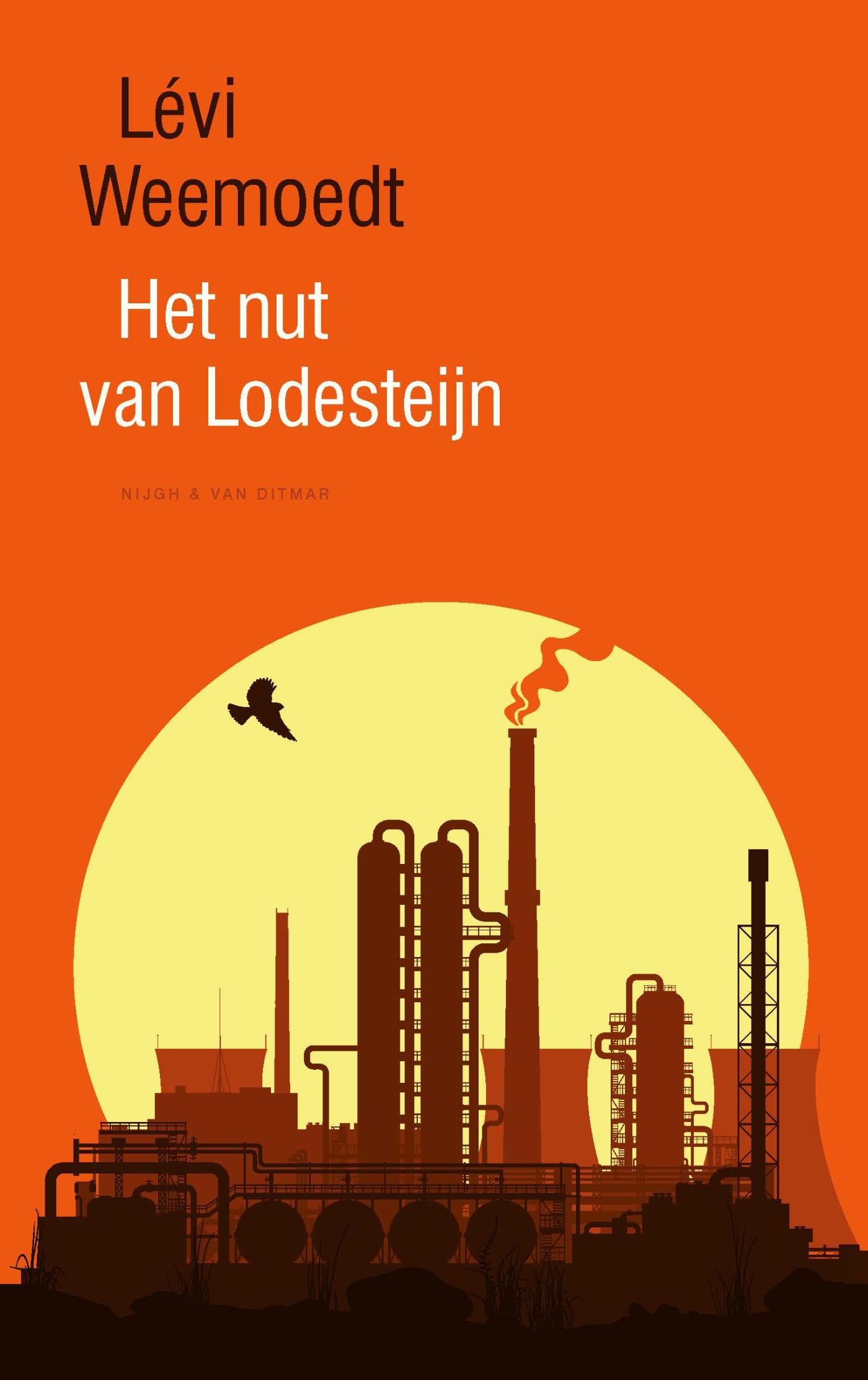 Omslag van Het nut van Lodesteijn