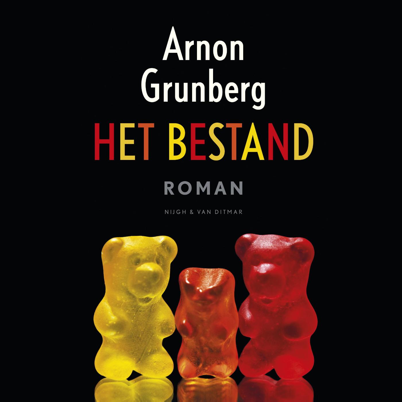 Omslag van Het bestand