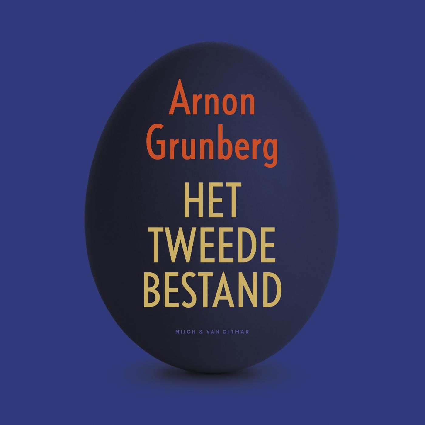 Omslag van Het tweede bestand