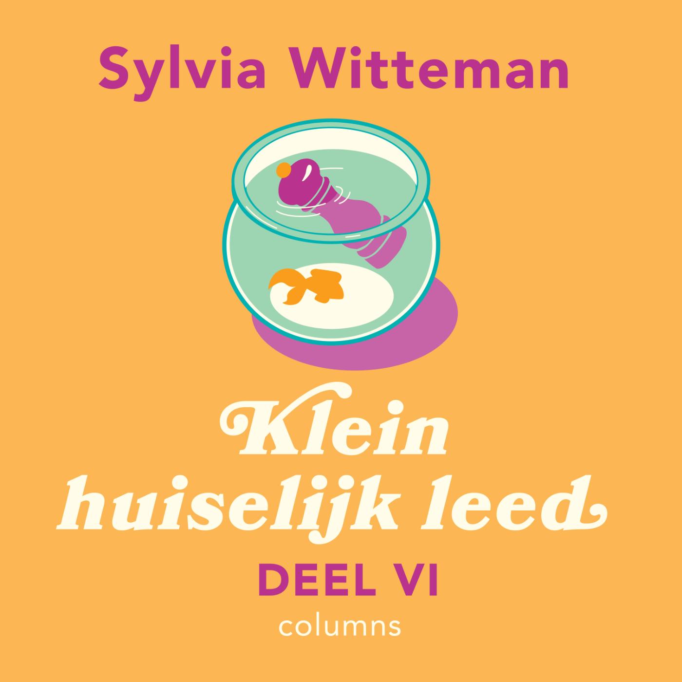 Omslag van VI