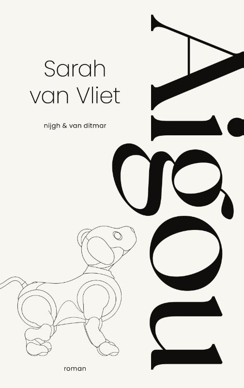 Omslag van Aigou