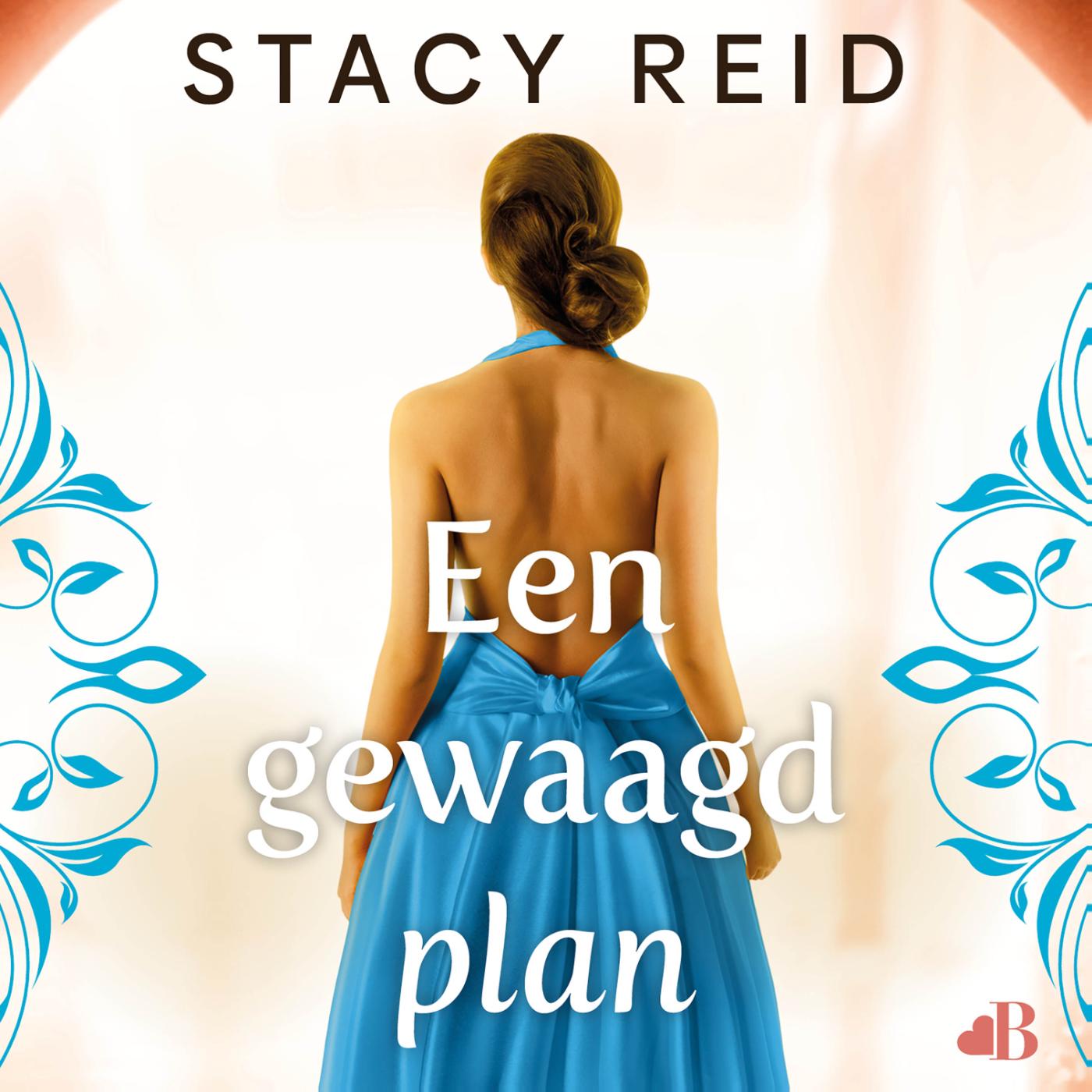 Omslag van Een gewaagd plan