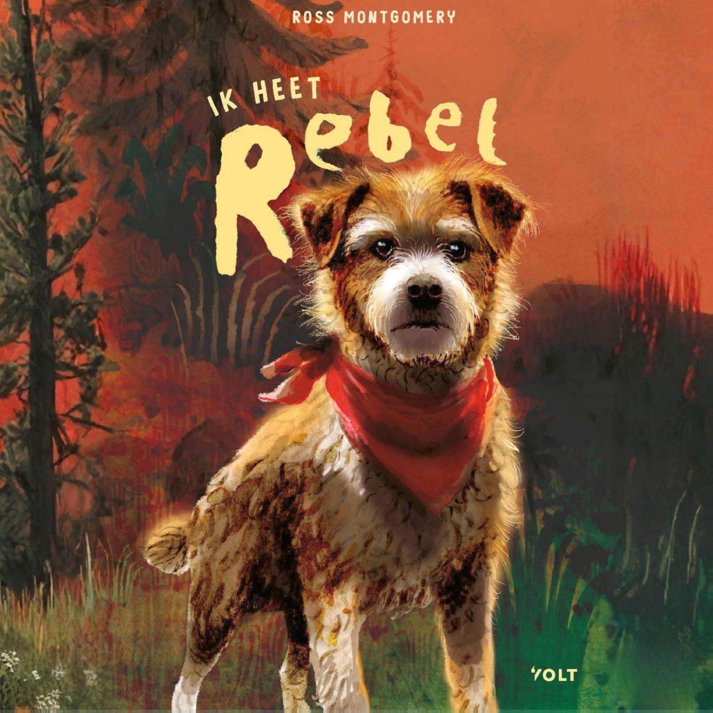 Omslag van Ik heet Rebel