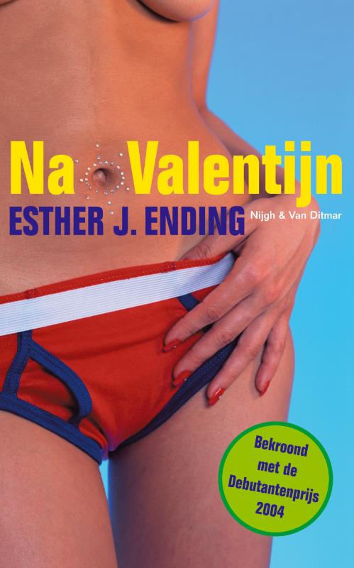Omslag van Na Valentijn