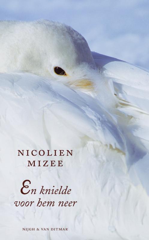 Omslag van En knielde voor hem neer