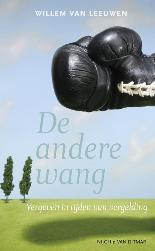 Omslag van De andere wang