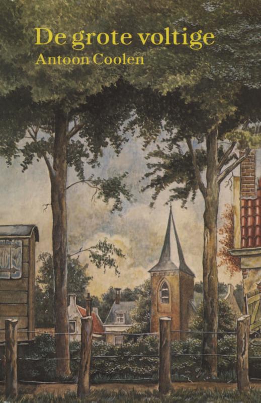 Omslag van De grote voltige