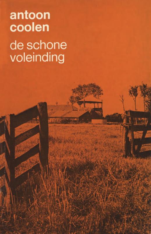 Omslag van De schoone voleinding