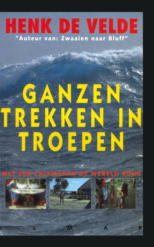 Omslag van Ganzen trekken in troepen