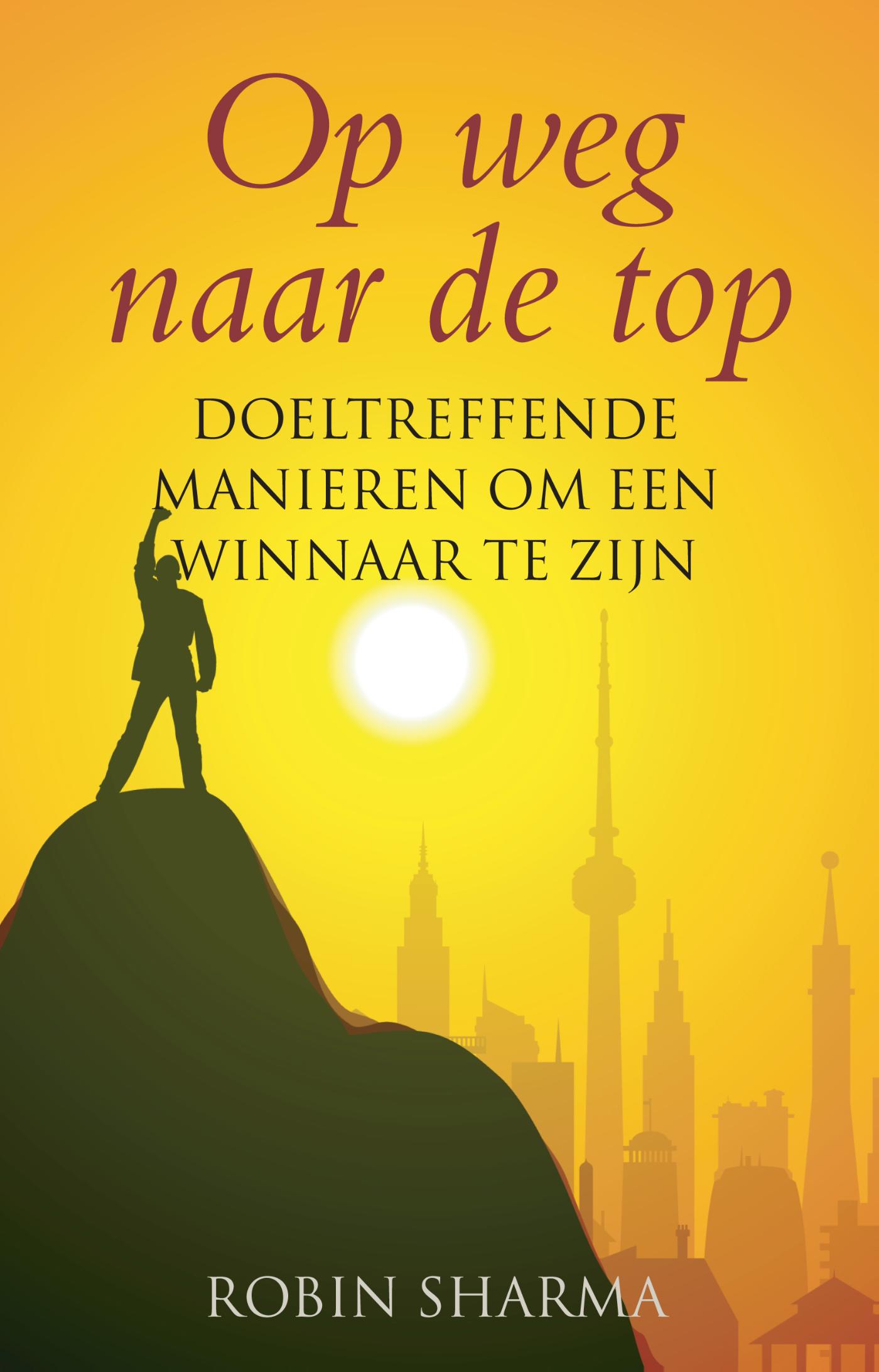 Omslag van Op weg naar de top
