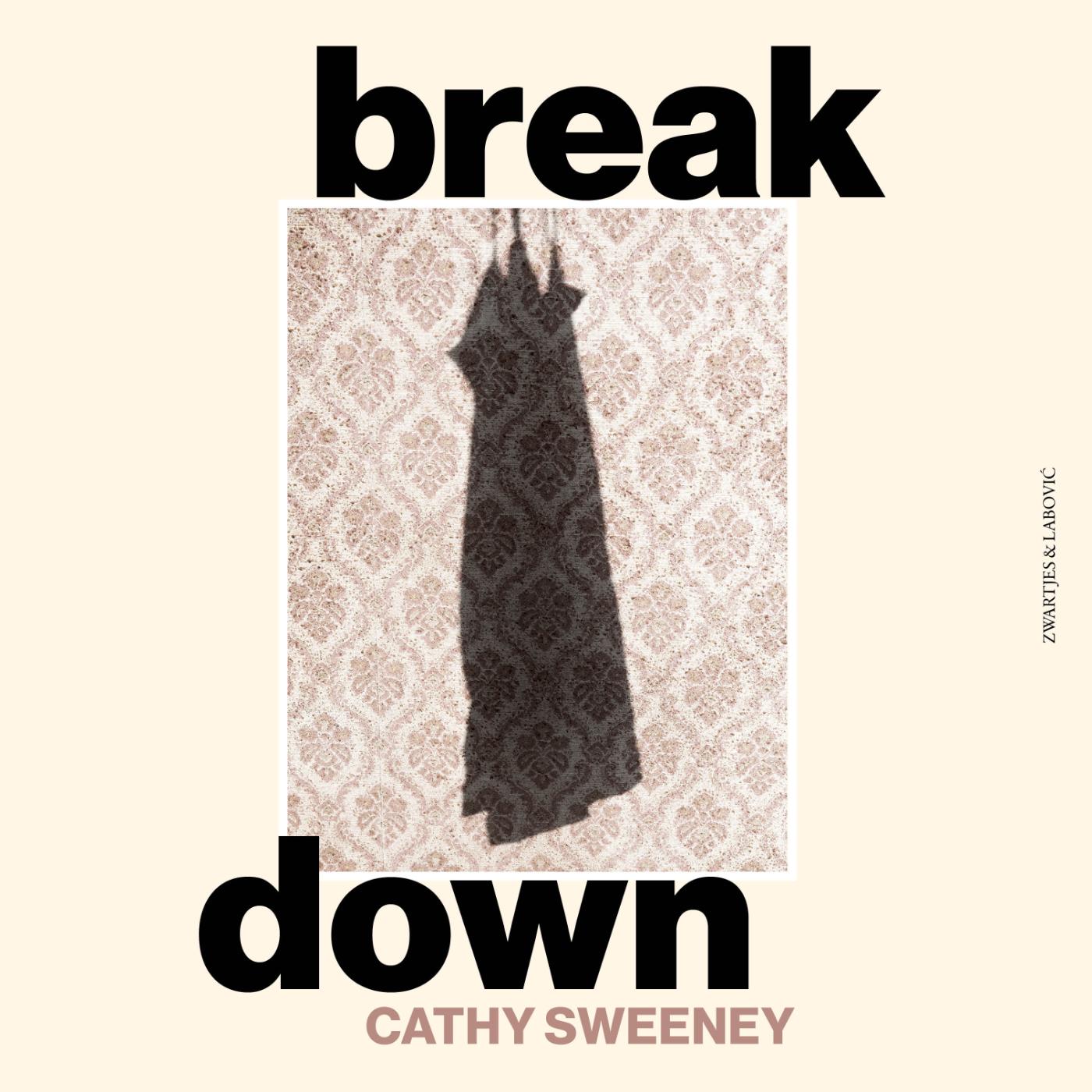 Omslag van Breakdown
