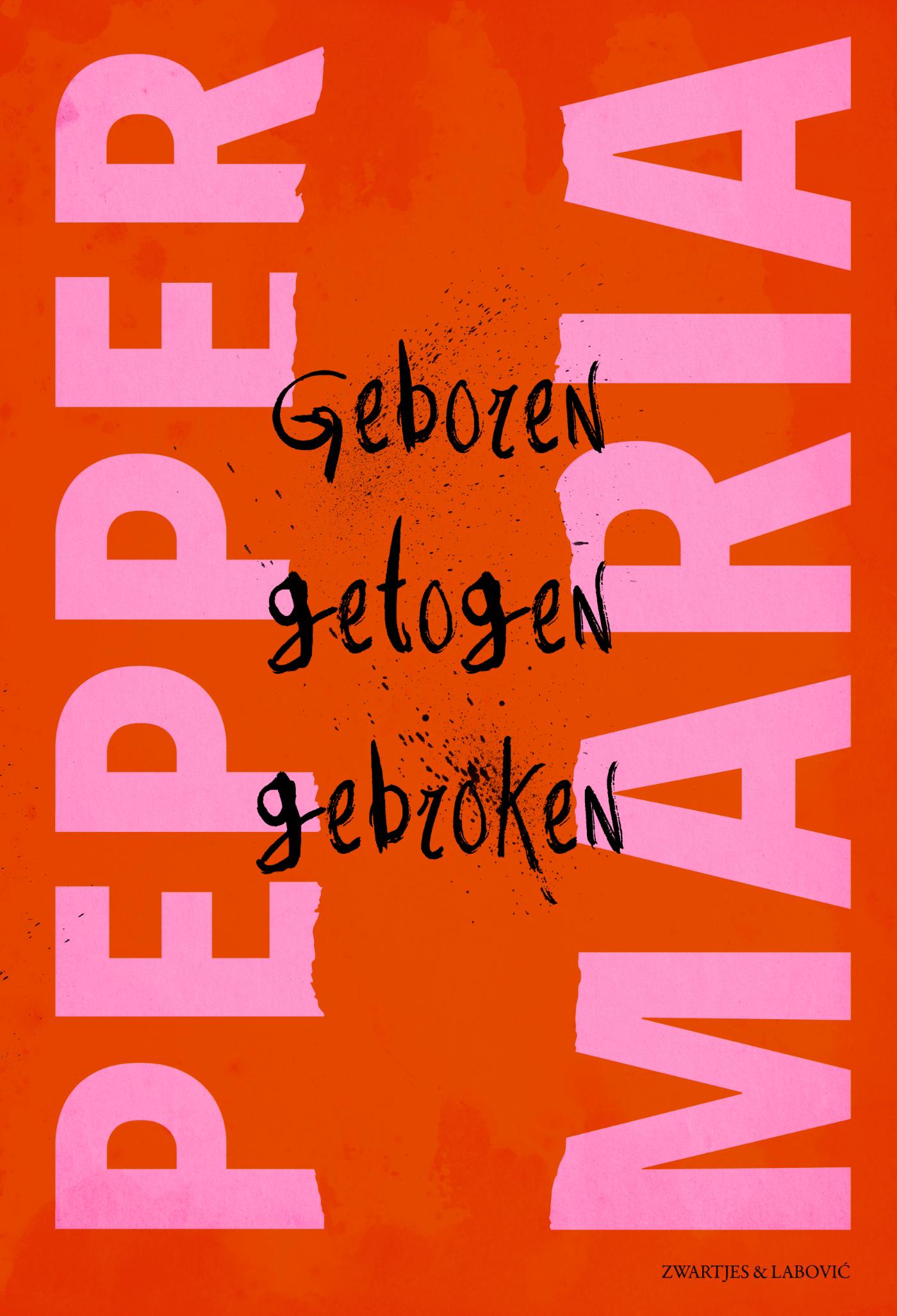 Omslag van Geboren, getogen, gebroken