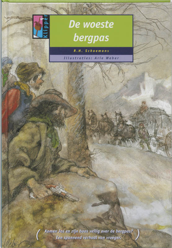 Omslag van De woeste bergpas