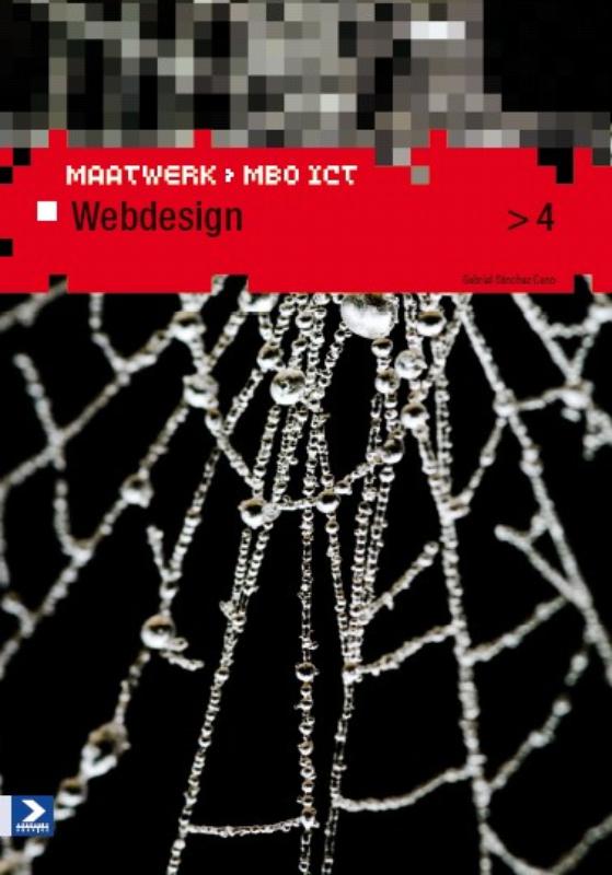 Omslag van 4 maatwerk mbo ict