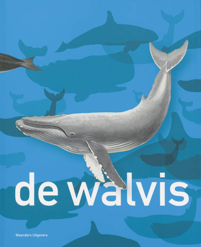 Omslag van De Walvis