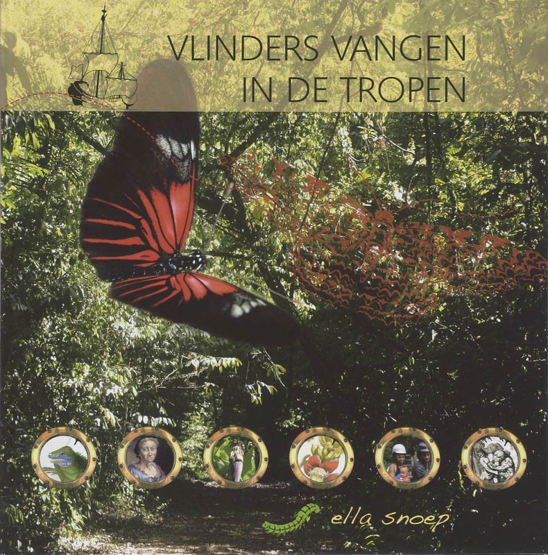 Omslag van Vlinders vangen in de tropen