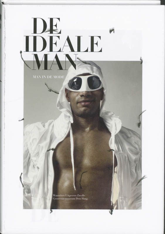 Omslag van De ideale man