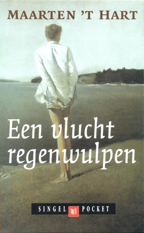 Omslag van Een vlucht regenwulpen
