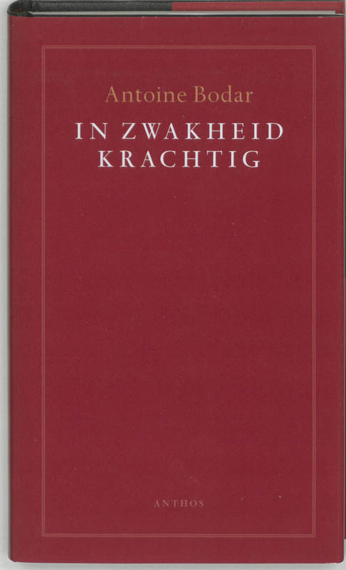 Omslag van In zwakheid krachtig