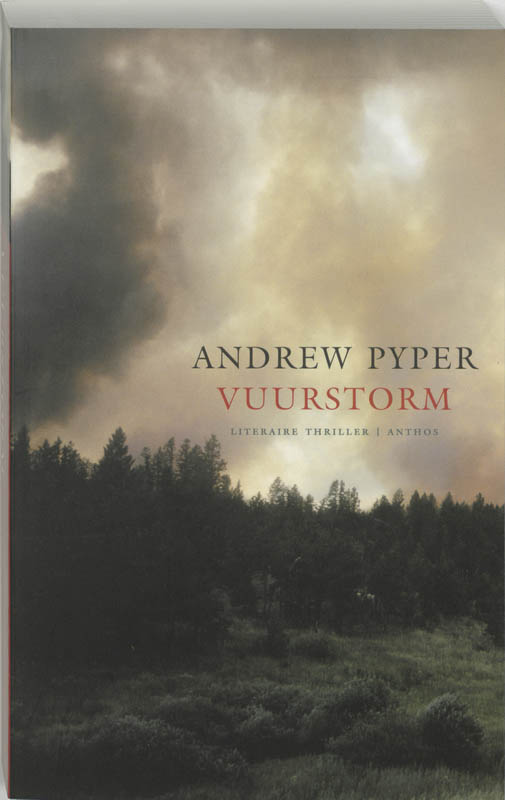 Omslag van Vuurstorm