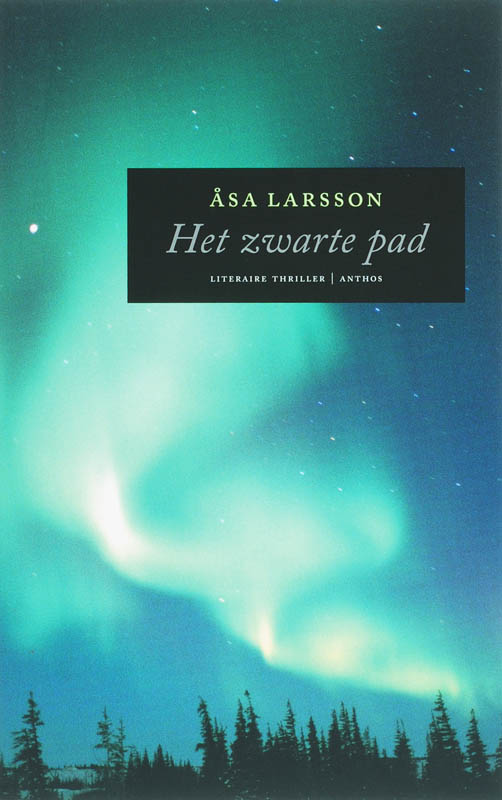 Omslag van Het zwarte pad