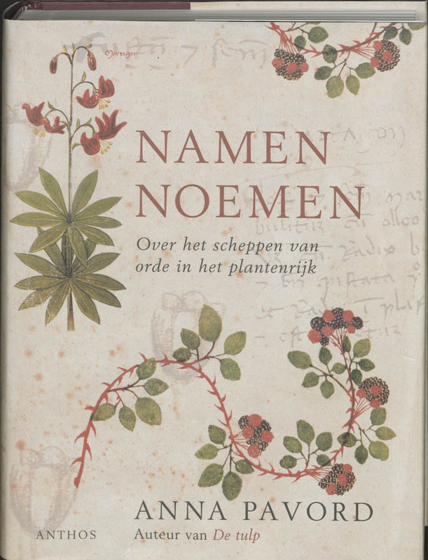 Omslag van Namen noemen