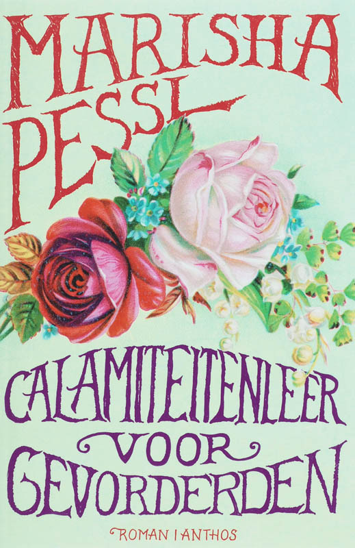 Omslag van Calamiteitenleer voor gevorderden