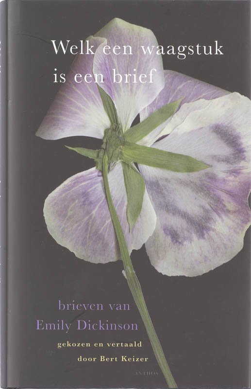 Omslag van Welk een waagstuk is een brief