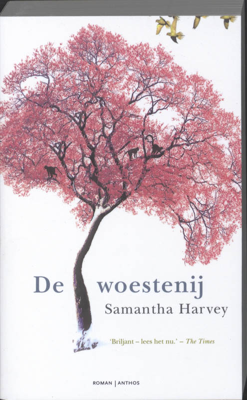 Omslag van De woestenij