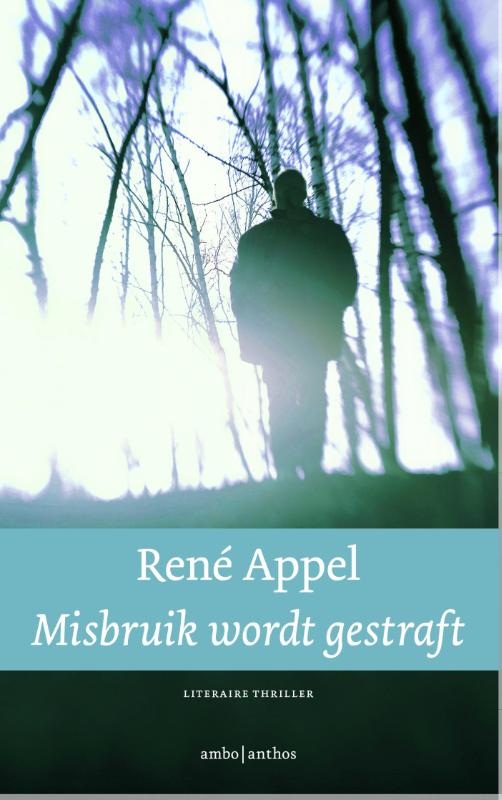Omslag van Misbruik wordt gestraft