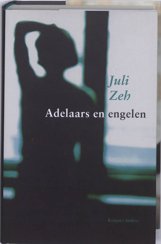 Omslag van Adelaars en engelen