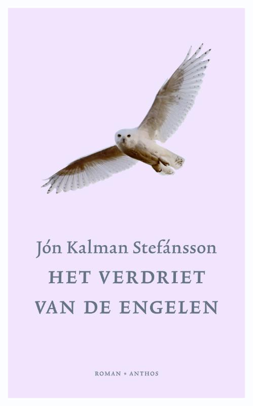 Omslag van Het verdriet van de engelen