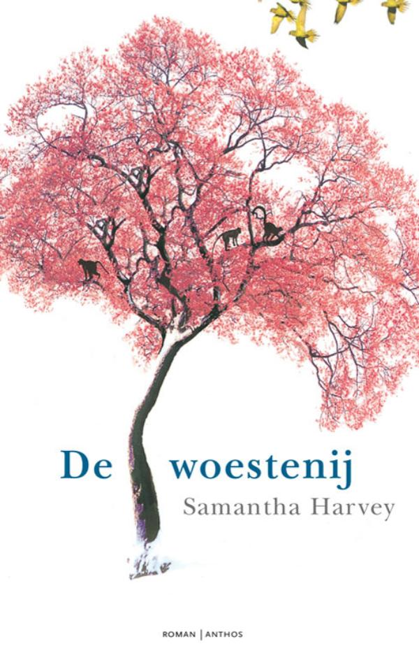 Omslag van De woestenij